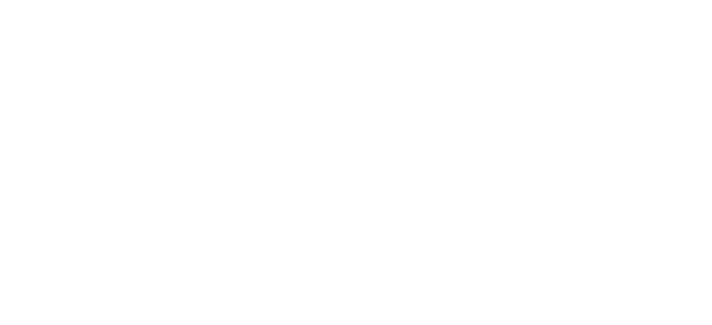Borusan
