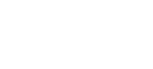 Pegasus